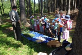 Lesní pedagogika – MŠ Žďárská